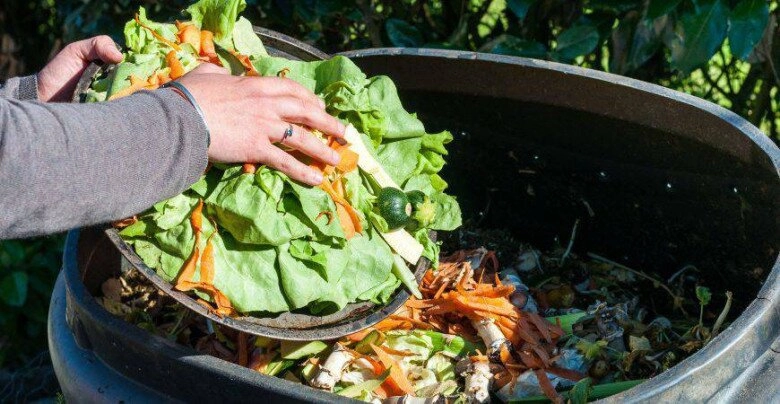 Ra chợ xin 2 loại rác này mang về chôn vào chậu hoa nở như điên cây cho quả to ngọt lịm - 3