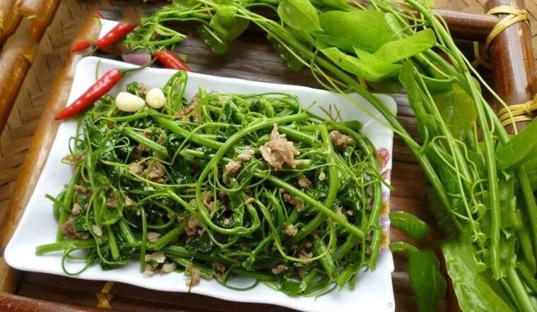 Rau dại được mệnh danh là vua các loài rau là đặc sản giá 200000 đồngkg trồng một lần thu hoạch quanh năm - 2