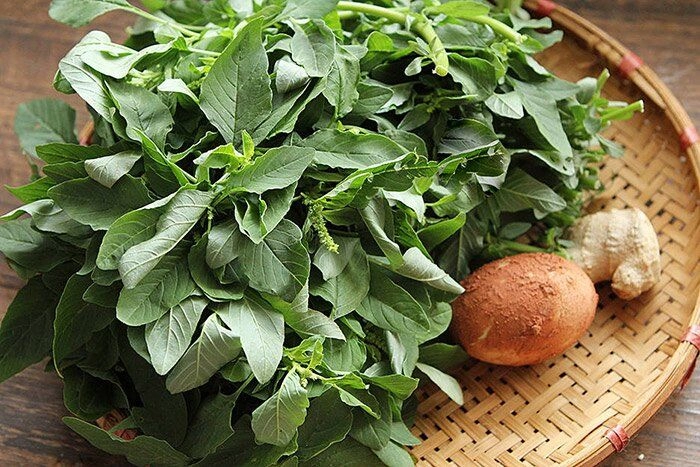 Rau mọc hoang nay thành đặc sản giá 50000 đồngkg nhưng hạt chạm đất là mọc trồng 20 ngày là có ăn - 3