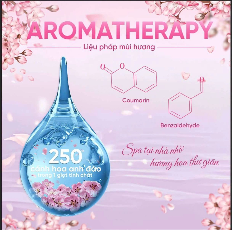 Sakura sakuyahime khi hoa anh đào trở thành lời tri ân gửi đến người phụ nữ - 4
