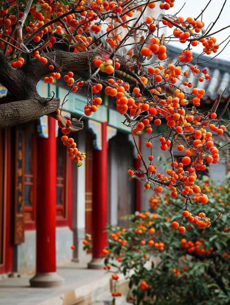 Sân không có cây không phúc không lộc trồng 5 loại cây này con cháu ngày càng phát đạt - 7