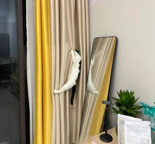 Tại sao ngày càng nhiều người không lắp rèm cửa nữa 2 thiết kế này được ưa chuộng hơn vì vừa đẹp vừa thiết thực - 4