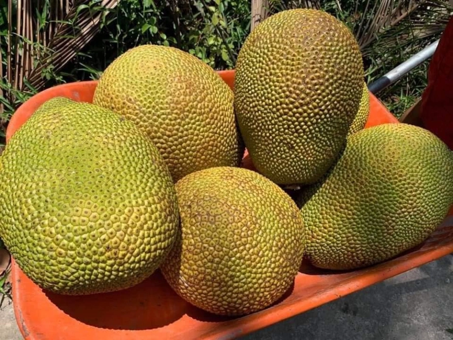 Tết đoan ngọ nên thắp 5 loại hoa tránh 4 loại quả gia chủ hưởng lộc cả năm sung túc - 9