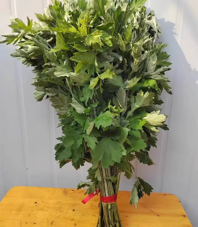 Tết đoan ngọ treo loại rau này trước cửa chỉ 10000 đồngmớ nhưng giúp xua rủi rước lộc cả năm may mắn - 3