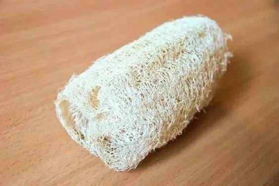 Thêm thứ này vào chậu hoa cây phát triển tươi tốt lá vàng sẽ chuyển sang màu xanh sau 3 ngày - 2