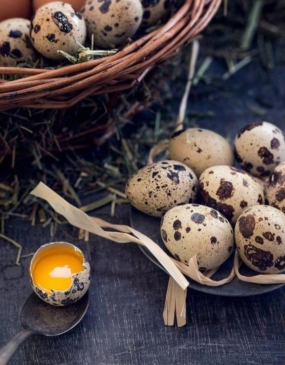 Thêm thứ này vào chậu hoa cây phát triển tươi tốt lá vàng sẽ chuyển sang màu xanh sau 3 ngày - 3