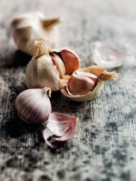 Thêm thứ này vào chậu hoa cây phát triển tươi tốt lá vàng sẽ chuyển sang màu xanh sau 3 ngày - 5