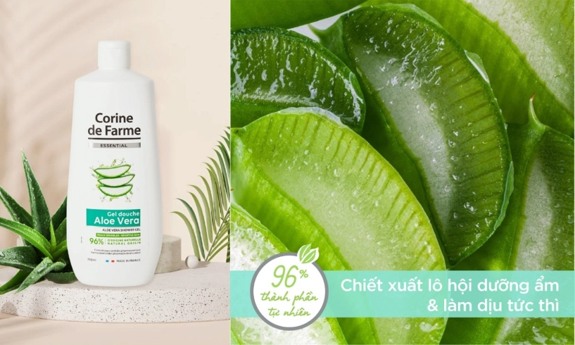 Thức tỉnh mọi giác quan với sữa tắm từ thiên nhiên nước pháp - 3