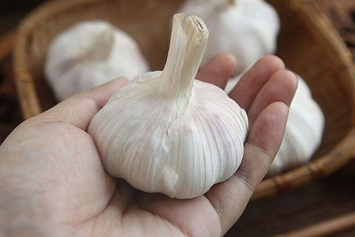 Tỏi bán đầy chợ nhưng có 4 củ này đừng mua biết rồi nhớ báo mọi người cùng biết nhé - 3