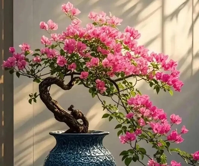 Tôi hối hận vì không trồng 3 loại hoa này sớm hơn chúng rất đẹp và nở quanh năm - 4