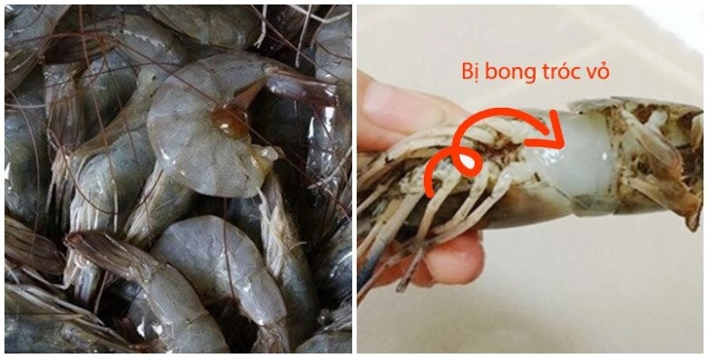 Tôm bán đầy chợ nhưng có 4 con này rẻ mấy cũng đừng mua đọc xong nhớ nhắc mọi người ngay nhé - 2