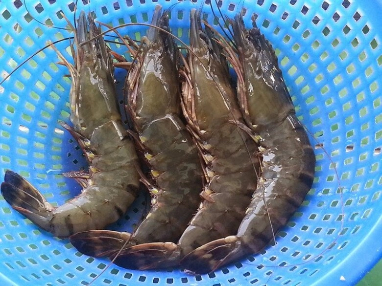 Tôm bán đầy chợ nhưng có 4 con này rẻ mấy cũng đừng mua đọc xong nhớ nhắc mọi người ngay nhé - 4