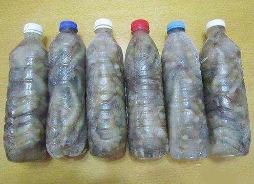 Tôm mua về đừng cho ngay vào tủ lạnh cứ làm theo 3 cách này để cả năm tôm vẫn tươi như vừa đánh bắt - 2