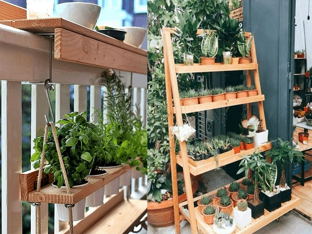 Trồng cây ban công chọn cây theo hướng nhà và các lưu ý - 1