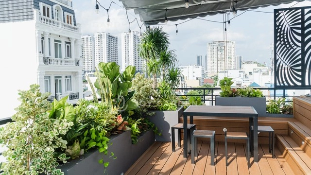 Trồng cây ban công chọn cây theo hướng nhà và các lưu ý - 2