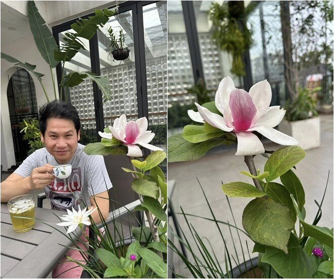 Trọng tấn trồng loài hoa biểu tượng giàu sang trên sân thượng biệt thự ở hà nội mỗi năm ra hoa một lần - 1