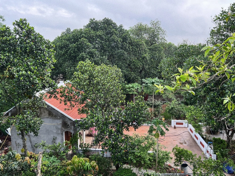 Vợ chồng hà nội cải tạo nhà cũ 40 năm thành nơi thờ tự dạy con nhớ về cội nguồn - 1