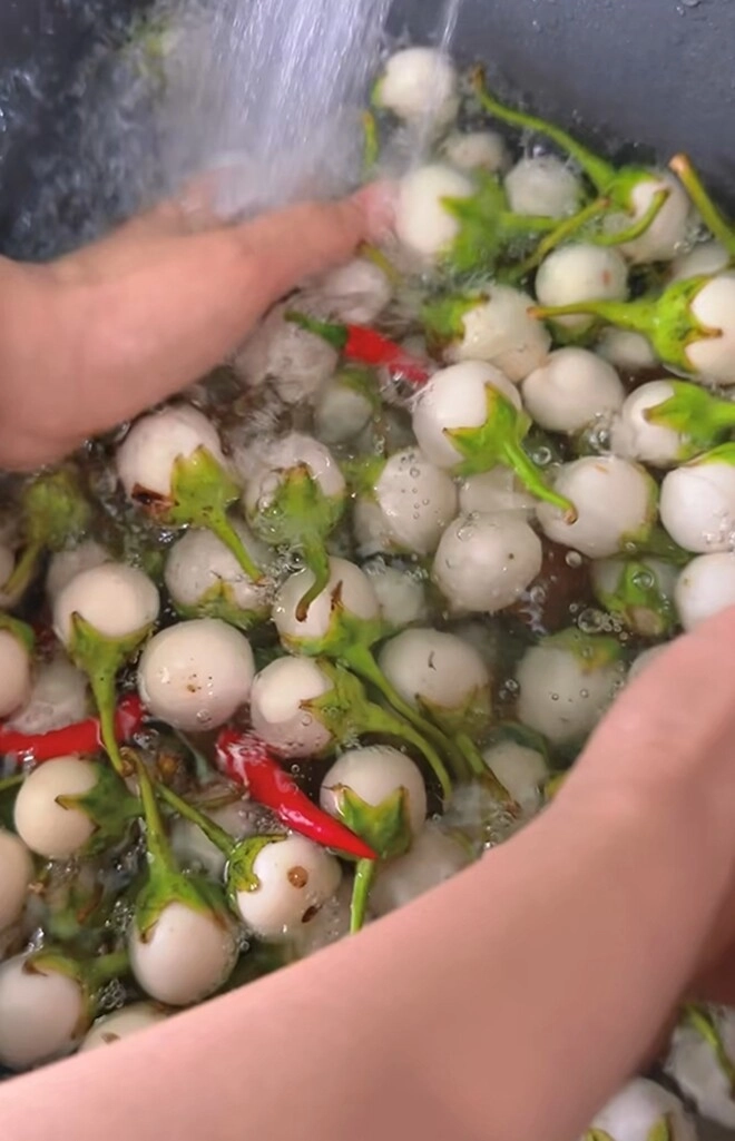 Vợ mạnh trường phơi cà một nắng ở biệt thự lên mâm toàn món dân dã mà ăn gì cũng thấy ngon - 1