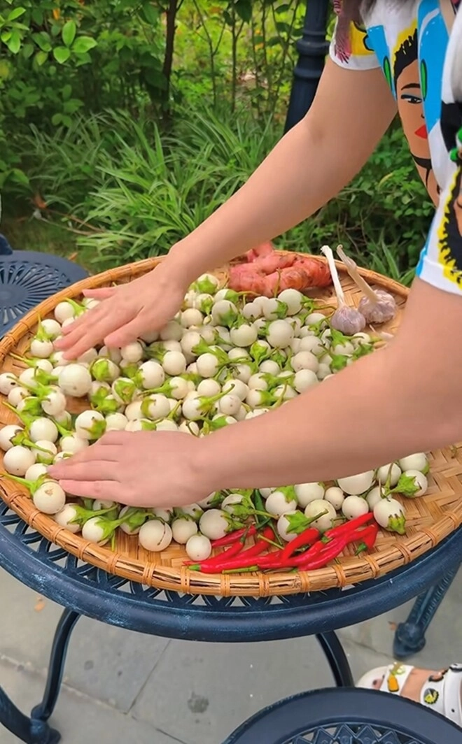 Vợ mạnh trường phơi cà một nắng ở biệt thự lên mâm toàn món dân dã mà ăn gì cũng thấy ngon - 2