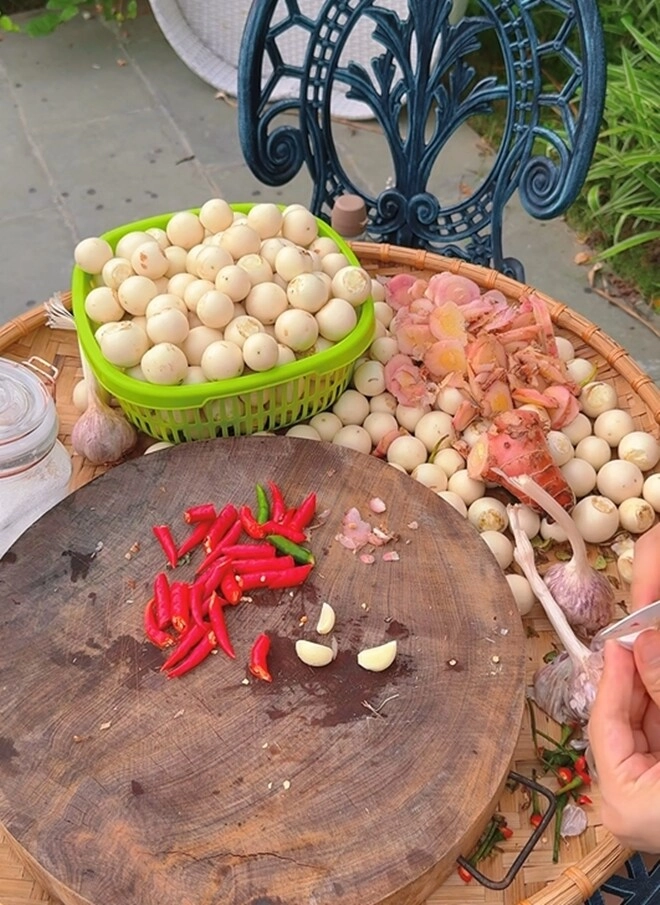 Vợ mạnh trường phơi cà một nắng ở biệt thự lên mâm toàn món dân dã mà ăn gì cũng thấy ngon - 5