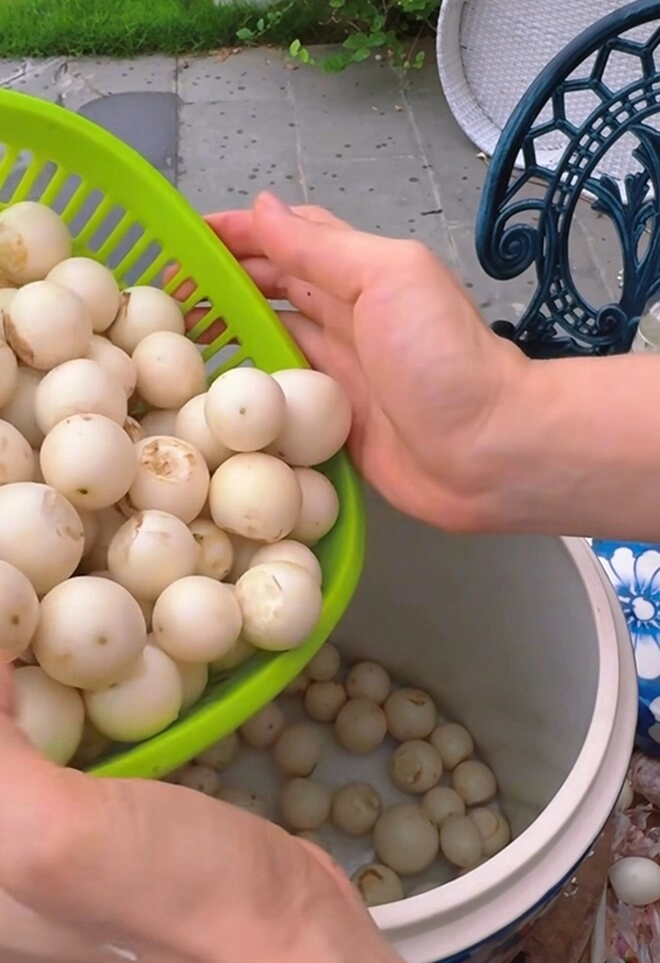 Vợ mạnh trường phơi cà một nắng ở biệt thự lên mâm toàn món dân dã mà ăn gì cũng thấy ngon - 9