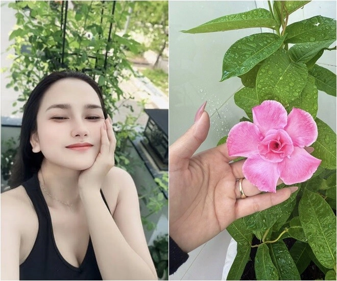 Vợ nhạc sĩ giàu nhất việt nam khoe khu vườn biệt thự nhưng làm ai nấy nghẹn ngào vì dấu ấn 2 người thân - 3