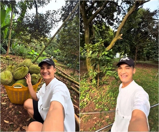 Vườn sầu riêng măng cụt rộng thênh thang của hoài linh mạc văn khoa về ăn ngập mồm đoạn khui trái ai cũng cười lăn - 1