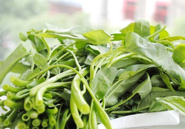 Xào rau muống đừng cho ngay vào chảo thêm 2 bước này rau muống xanh mướt giòn sần sật - 1