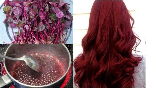 4 loại nước ép rau củ bình dân giúp thu nhỏ lỗ chân lông dùng thoa lên đầu sau vài tháng tóc mọc dày khỏe - 3