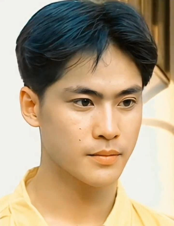 4 nam thần màn ảnh thập niên 90s đẹp ngang ngửa soái ca hàn quốc có người từng là kho tàng nhan sắc - 4