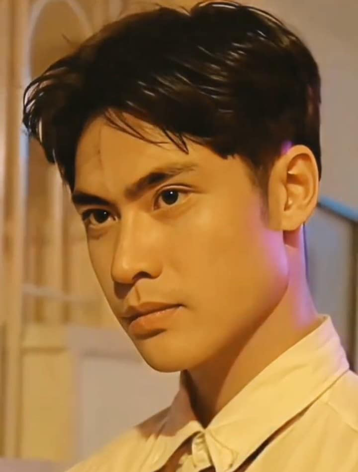 4 nam thần màn ảnh thập niên 90s đẹp ngang ngửa soái ca hàn quốc có người từng là kho tàng nhan sắc - 5