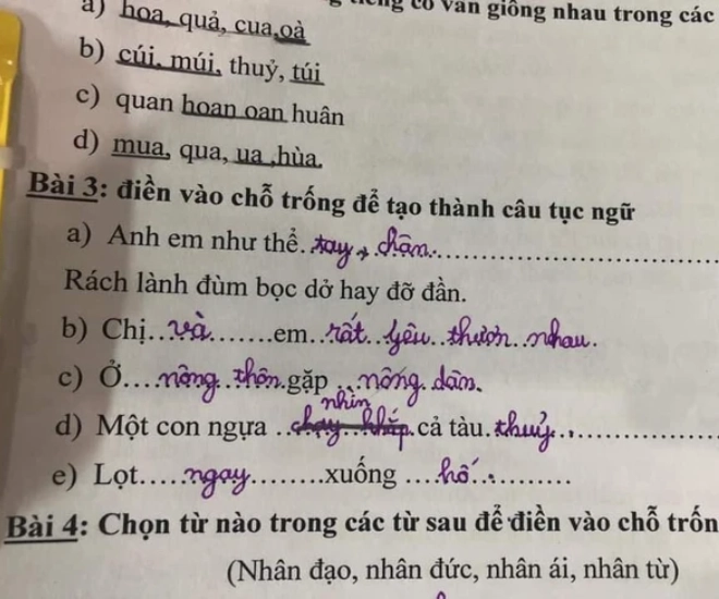 Bài tập tiếng việt về loạt thành ngữ tục ngữ của học sinh tiểu học gây bão đáp án sai nhưng lại rất thuyết phục - 1