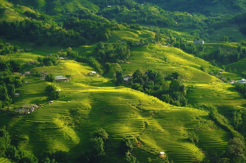Bản ý linh hồ vào mùa lúa ngả vàng đẹp mê hoặc lôi cuốn du khách - 2
