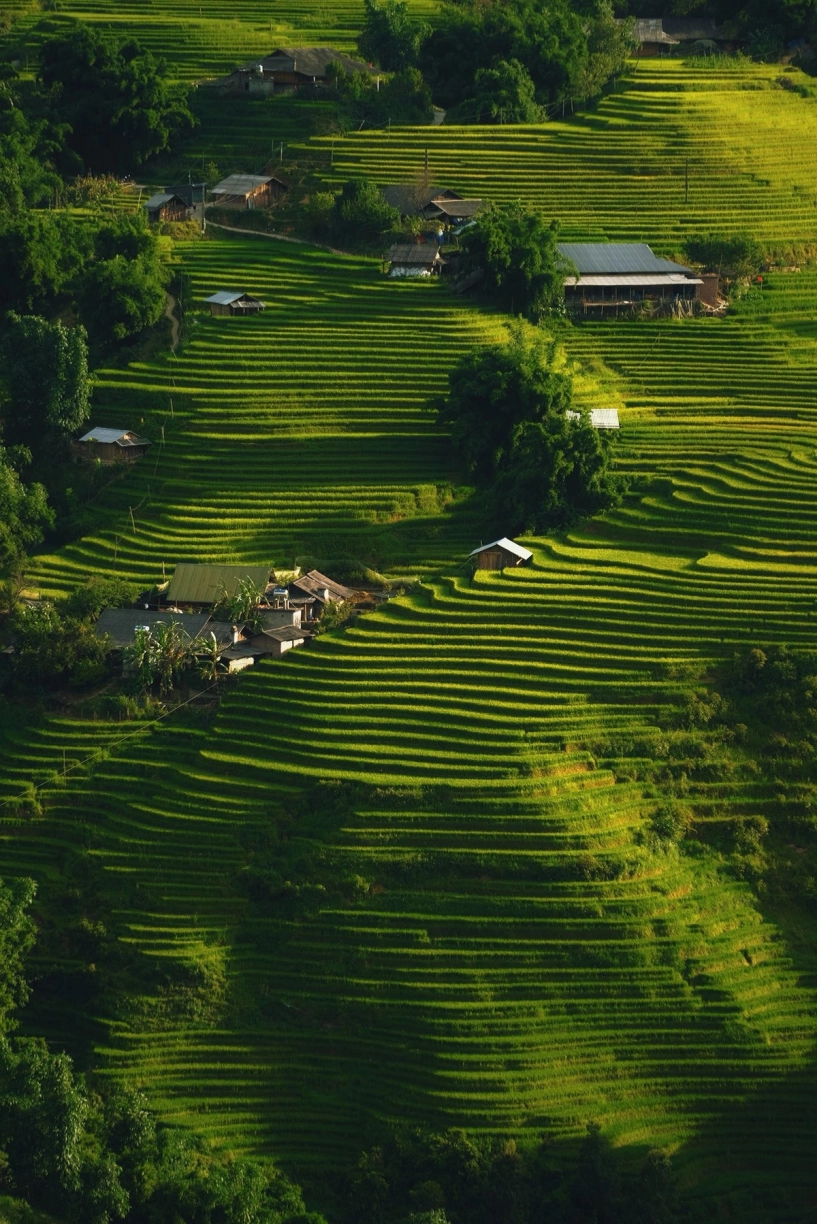 Bản ý linh hồ vào mùa lúa ngả vàng đẹp mê hoặc lôi cuốn du khách - 3