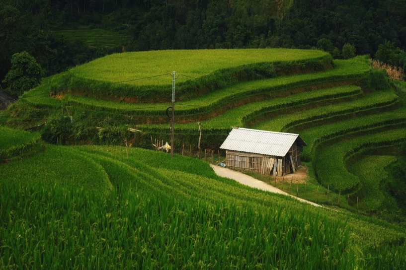 Bản ý linh hồ vào mùa lúa ngả vàng đẹp mê hoặc lôi cuốn du khách - 4