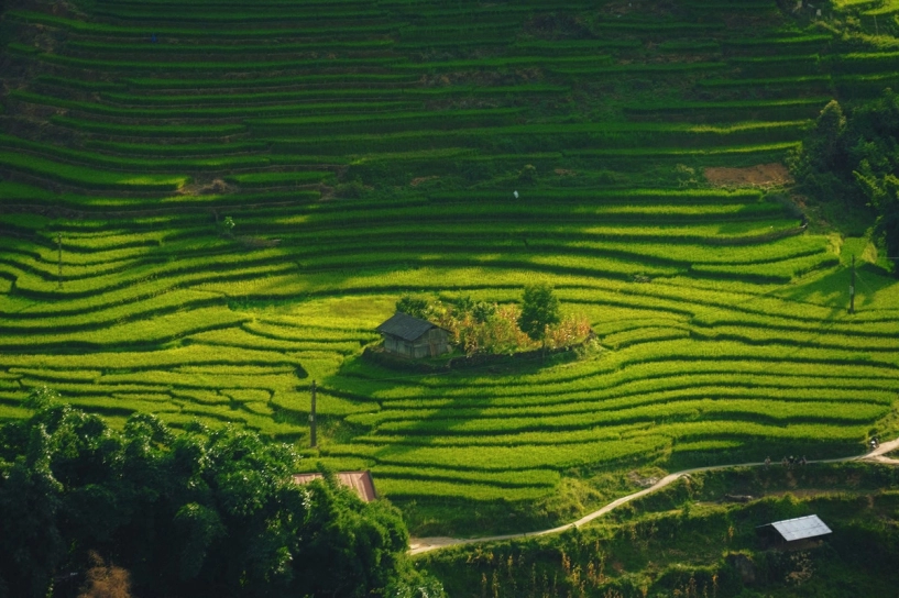 Bản ý linh hồ vào mùa lúa ngả vàng đẹp mê hoặc lôi cuốn du khách - 5