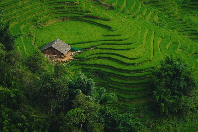 Bản ý linh hồ vào mùa lúa ngả vàng đẹp mê hoặc lôi cuốn du khách - 8