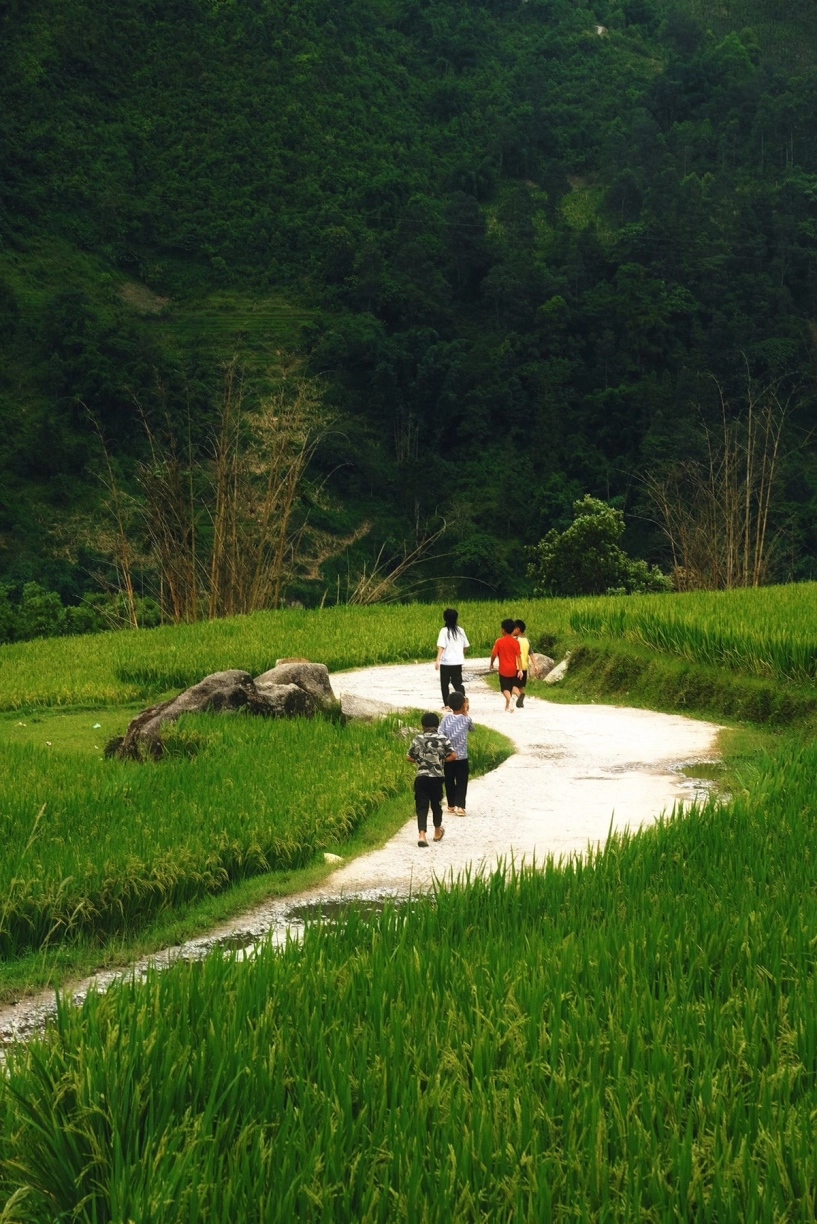 Bản ý linh hồ vào mùa lúa ngả vàng đẹp mê hoặc lôi cuốn du khách - 9
