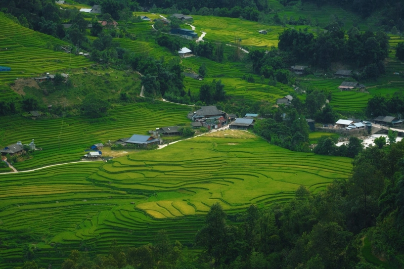 Bản ý linh hồ vào mùa lúa ngả vàng đẹp mê hoặc lôi cuốn du khách - 10