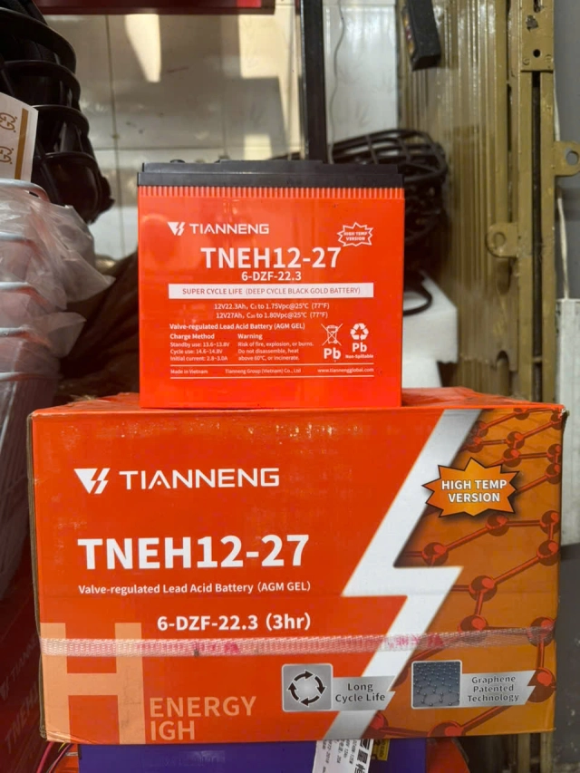Bao lâu phải thay ắc quy xe điện - 4