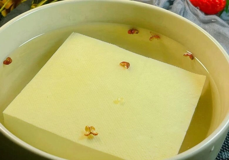Bảo quản đậu phụ cho thẳng vào tủ lạnh là sai lầm lớn ông chủ bán đậu mách bạn 2 mẹo hay để 10 ngày vẫn tươi nguyên - 5