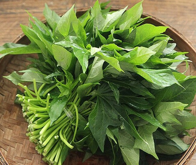 Cây này tưởng chỉ lấy củ nhưng phần lá tốt như thần dược đem xào được món đưa cơm - 1