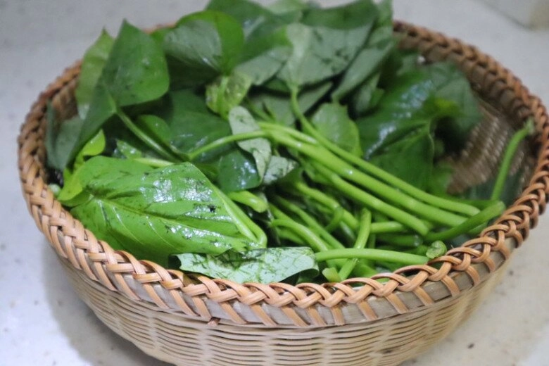 Cây này tưởng chỉ lấy củ nhưng phần lá tốt như thần dược đem xào được món đưa cơm - 3