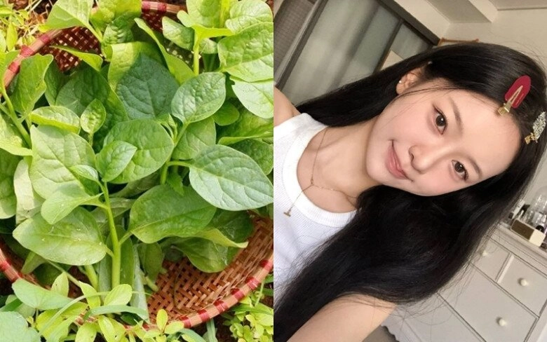Chi 10000 đồng mua loại rau quen thuộc ngoài chợ về vừa ăn vừa đắp mặt ai tóc rụng da khô dùng vào thấy khác ngay - 2