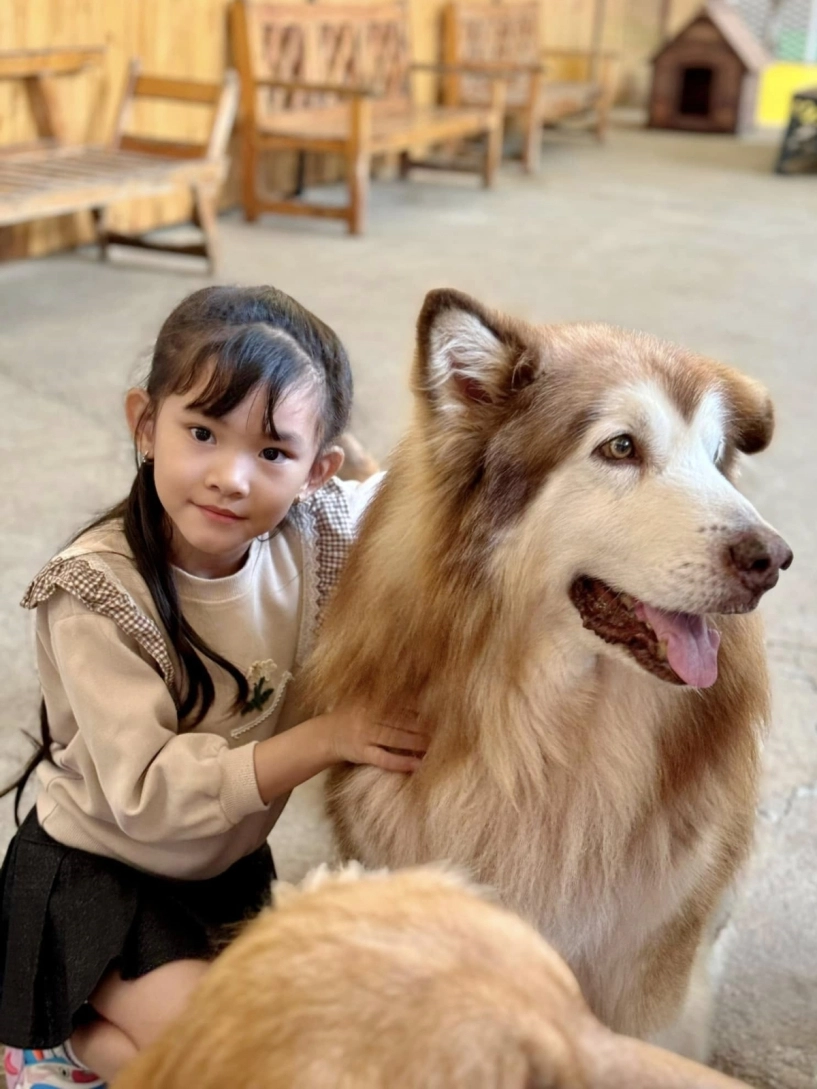Con gái 8 tuổi xinh như búp bê của thành đạt - hải băng - 7