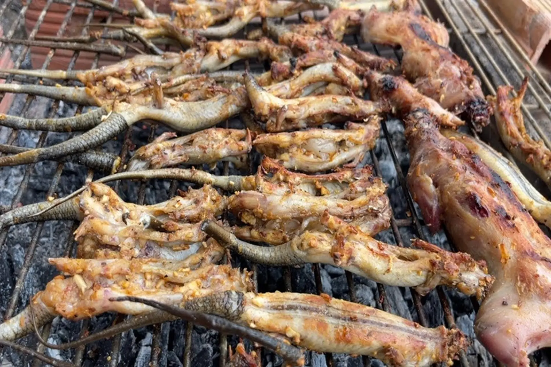 Con vật tưởng bỏ đi không ai thèm bắt lại là đặc sản nức tiếng an giang giá lên tới 350000 đồngkg vẫn ùn ùn người mua - 4
