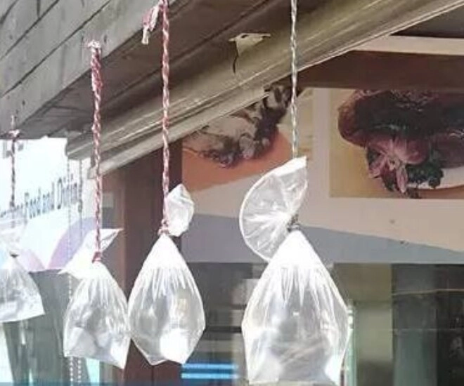 Cứ đến hè là nhiều gia đình lại treo túi nước ở trước cửa nhà lý do không phải ai cũng biết - 1