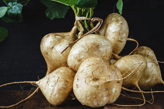 Củ này mệnh danh là vua bổ gan lá kho cá cực ngon trồng ở ban công sẽ xua đuổi vận xui mang lại may mắn - 3