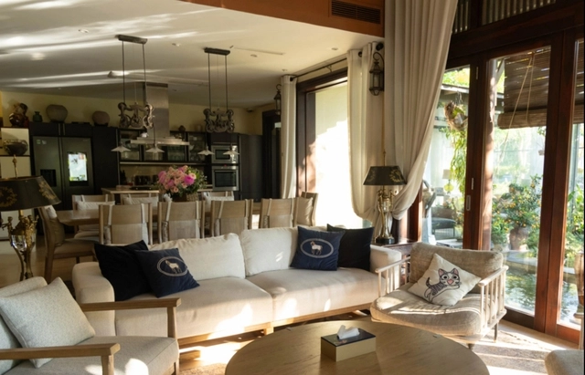 Cuộc sống sang chảnh trong biệt thự nhà vườn gần 20 năm tuổi mất gần 3 năm mới được xây xong của hh hà kiều anh - 7