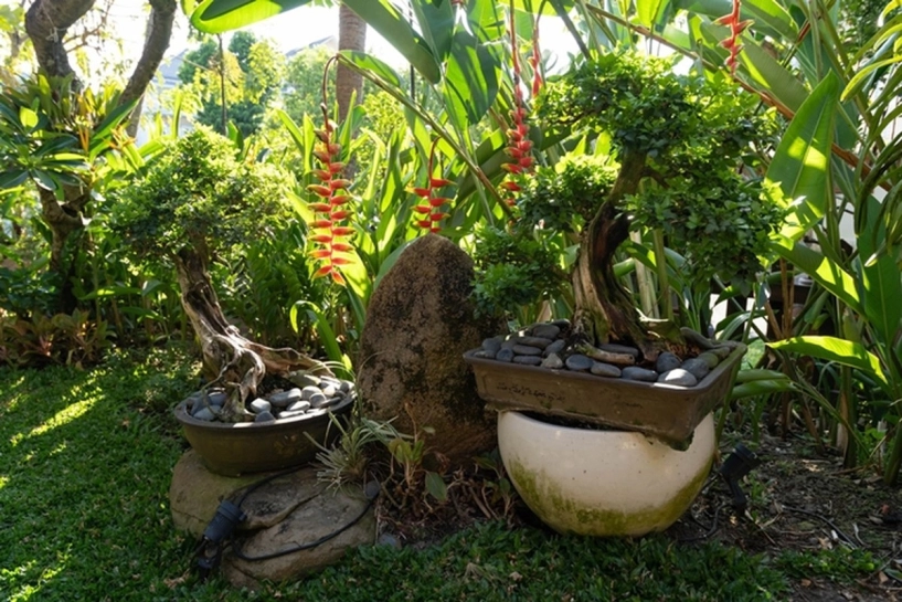 Cuộc sống sang chảnh trong biệt thự nhà vườn gần 20 năm tuổi mất gần 3 năm mới được xây xong của hh hà kiều anh - 29